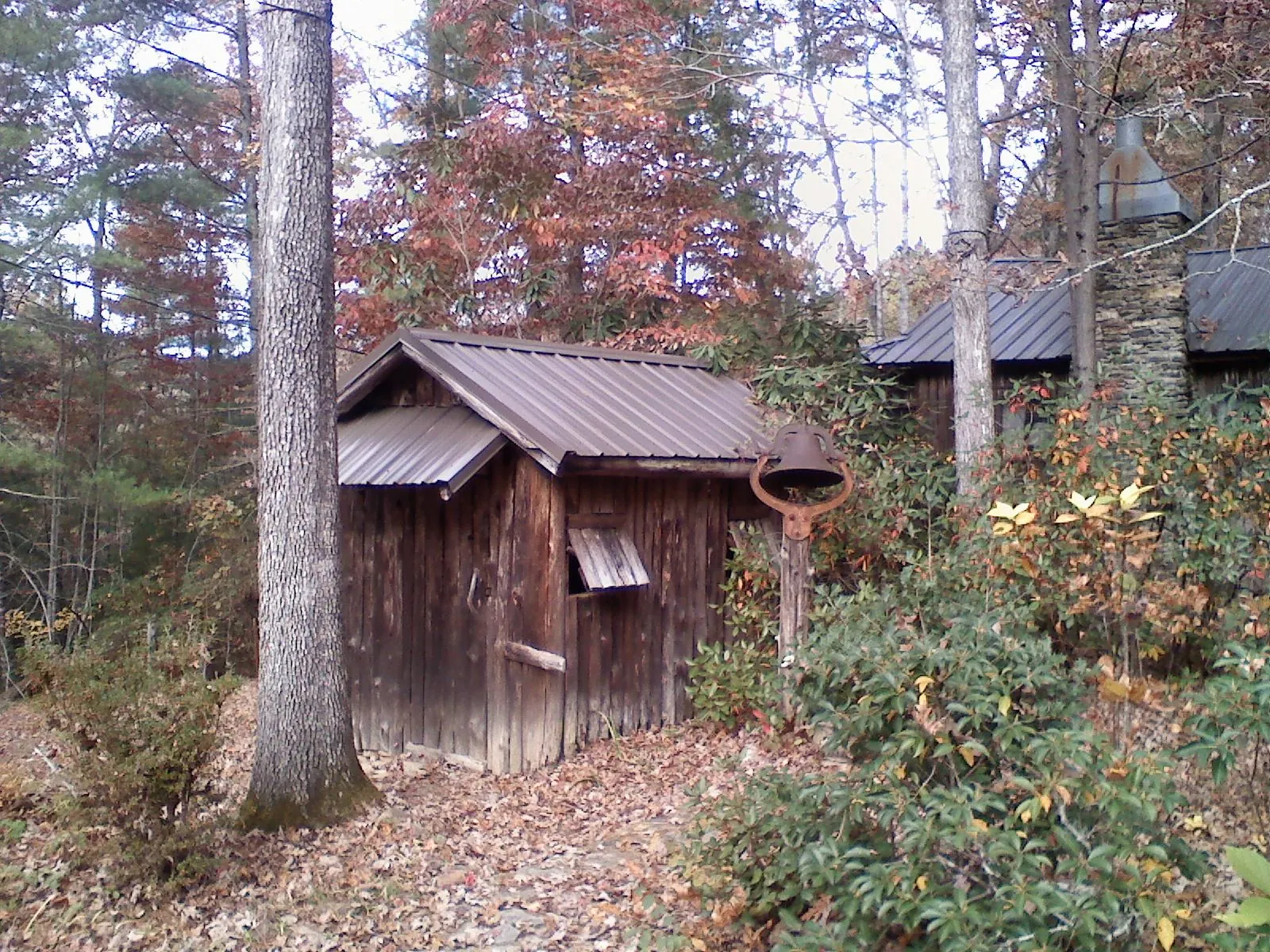 Small metal roof on a rough sawn shed in the woods in Niles